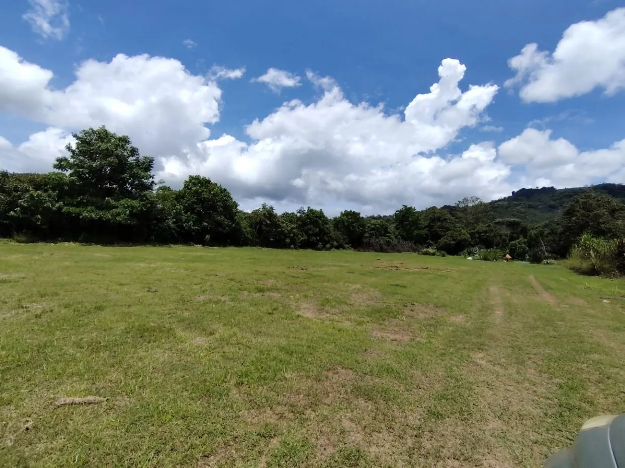 For Sale: Beautiful Flat Farm With Pasture, Ornamentals, And High Investment Potential, photo 7