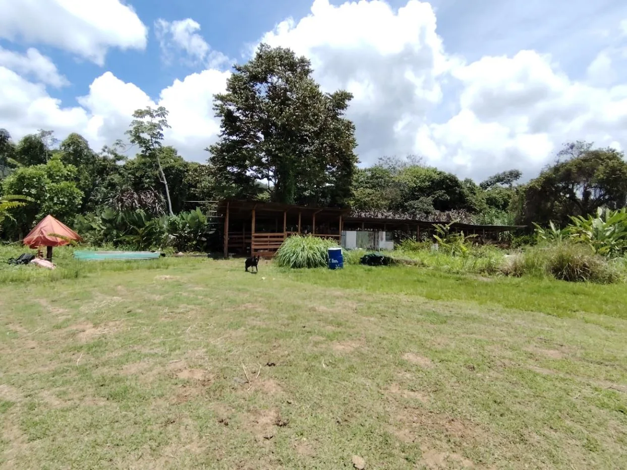 For Sale: Beautiful Flat Farm With Pasture, Ornamentals, And High Investment Potential, photo 8