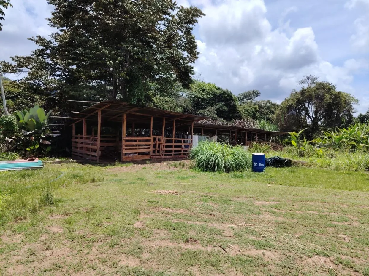 For Sale: Beautiful Flat Farm With Pasture, Ornamentals, And High Investment Potential, photo 9