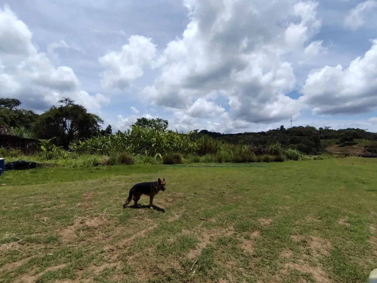 For Sale: Beautiful Flat Farm With Pasture, Ornamentals, And High Investment Potential, photo 10