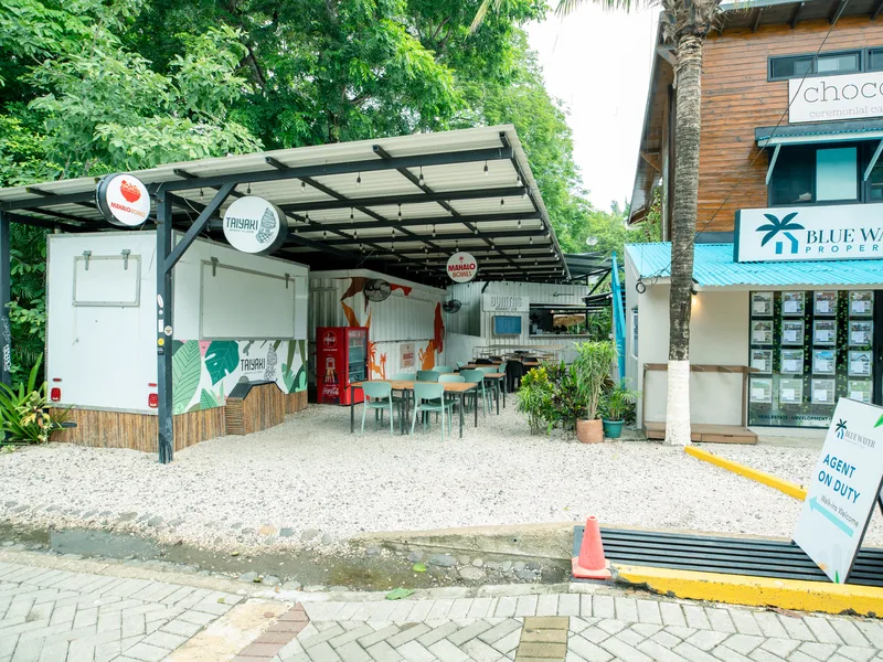 1 Bed Single Family Homes For Sale in Nosara, photo 8