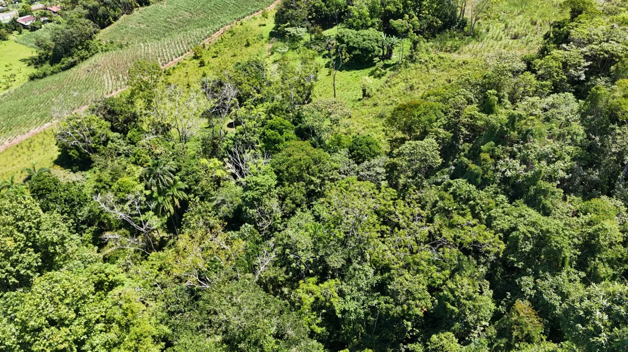 Natural Retreat for Sale – 6.2 Acres with Stunning Views in General Viejo, Pérez Zeledón, Costa Rica, photo 15