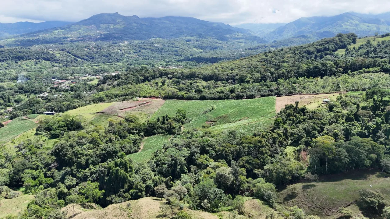 Natural Retreat for Sale – 6.2 Acres with Stunning Views in General Viejo, Pérez Zeledón, Costa Rica, photo 10