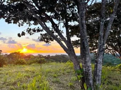 Dos grandes terrenos con impresionantes vistas al mar y al atardecer. Listos para construir, photo 10