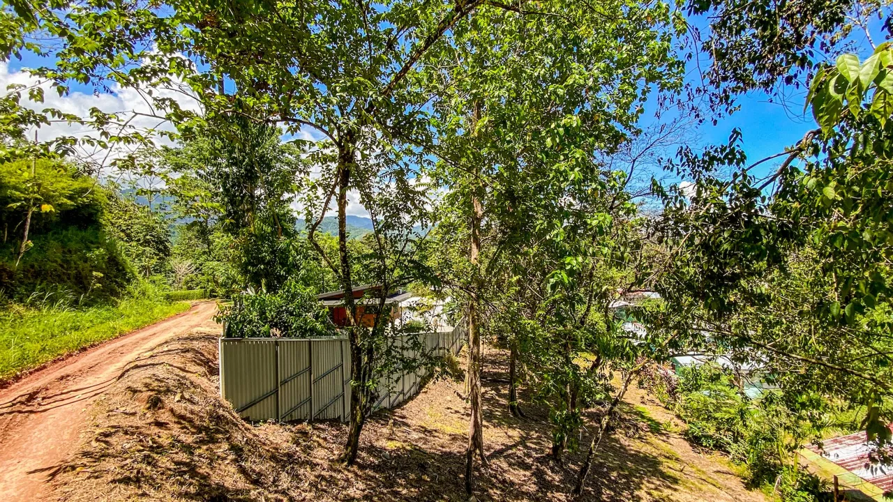 BUILDING PROPERTY WITH CABIN, IN OJOCHAL – 0.36 ACRES, photo 21