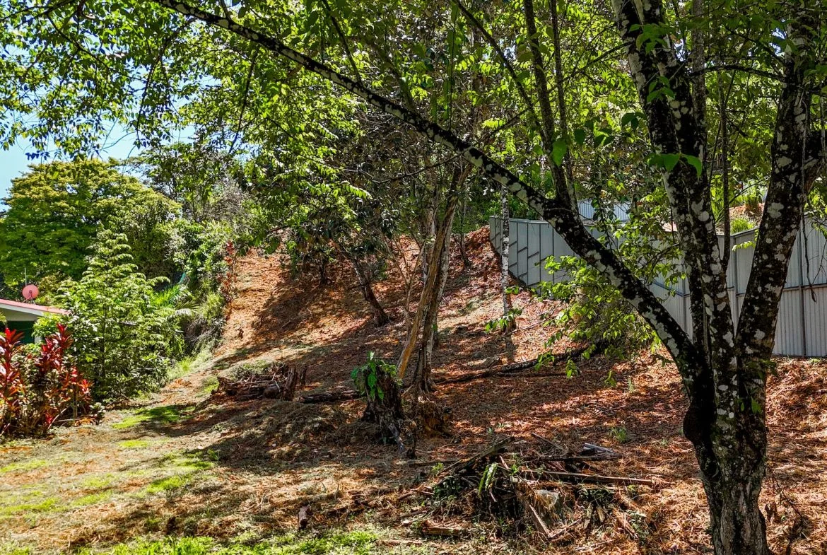 BUILDING PROPERTY WITH CABIN, IN OJOCHAL – 0.36 ACRES, photo 24