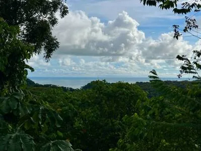 5 Acre Ridge-Top Paradise in Vergel – Panoramic Ocean & Mountain Views, photo 4