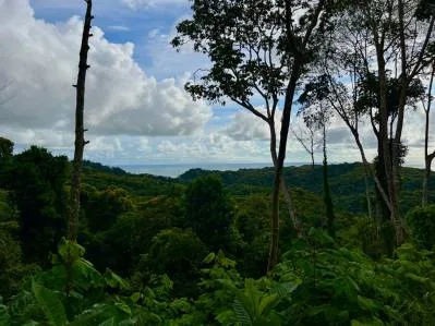 5 Acre Ridge-Top Paradise in Vergel – Panoramic Ocean & Mountain Views, photo 5