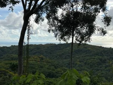 5 Acre Ridge-Top Paradise in Vergel – Panoramic Ocean & Mountain Views, photo 6