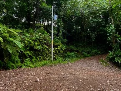 5 Acre Ridge-Top Paradise in Vergel – Panoramic Ocean & Mountain Views, photo 7