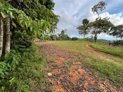 5 Acre Ridge-Top Paradise in Vergel – Panoramic Ocean & Mountain Views, photo 10