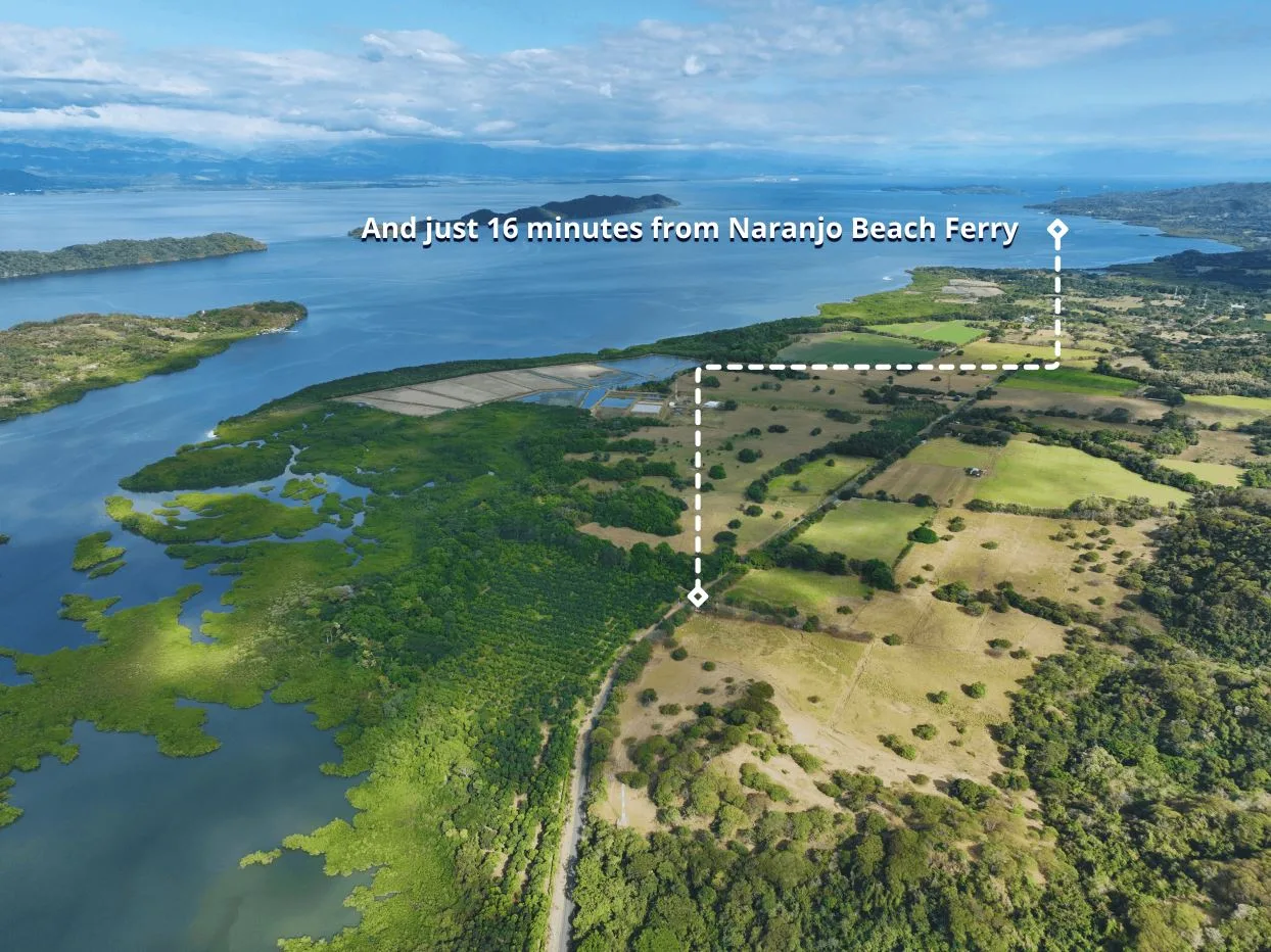 163.59 Hectare Agricultural Farm with Well, Ocean Views &amp; Protected Forest, photo 3