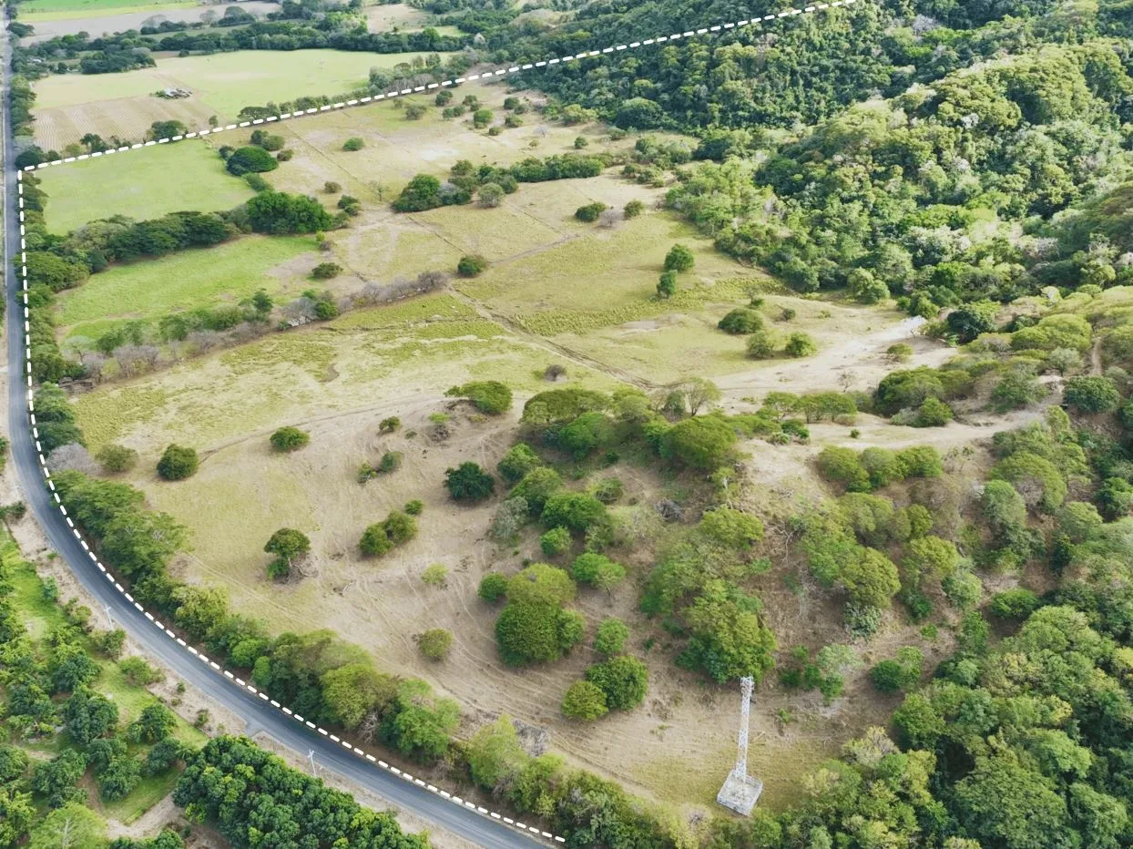 163.59 Hectare Agricultural Farm with Well, Ocean Views &amp; Protected Forest, photo 4