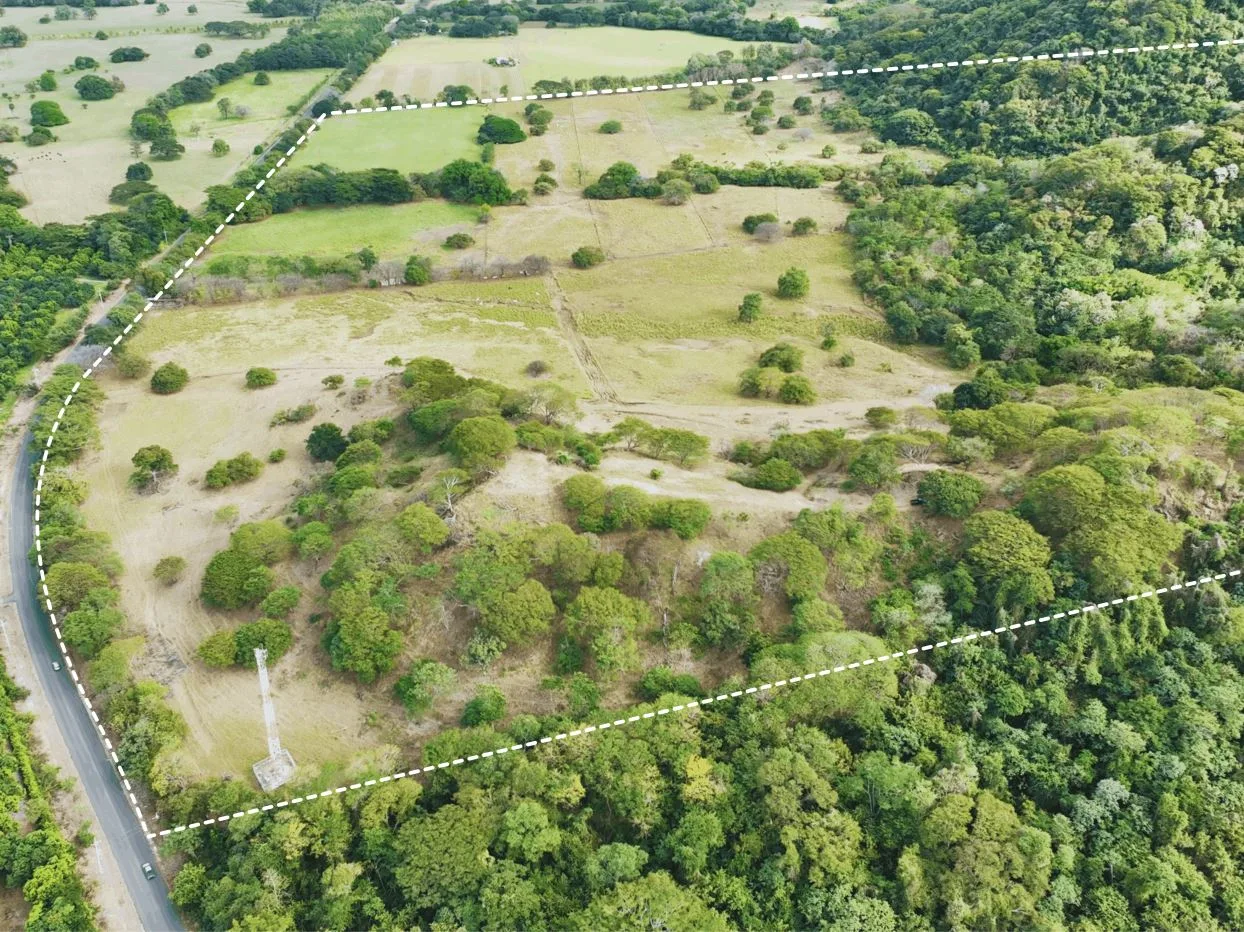 163.59 Hectare Agricultural Farm with Well, Ocean Views &amp; Protected Forest, photo 5