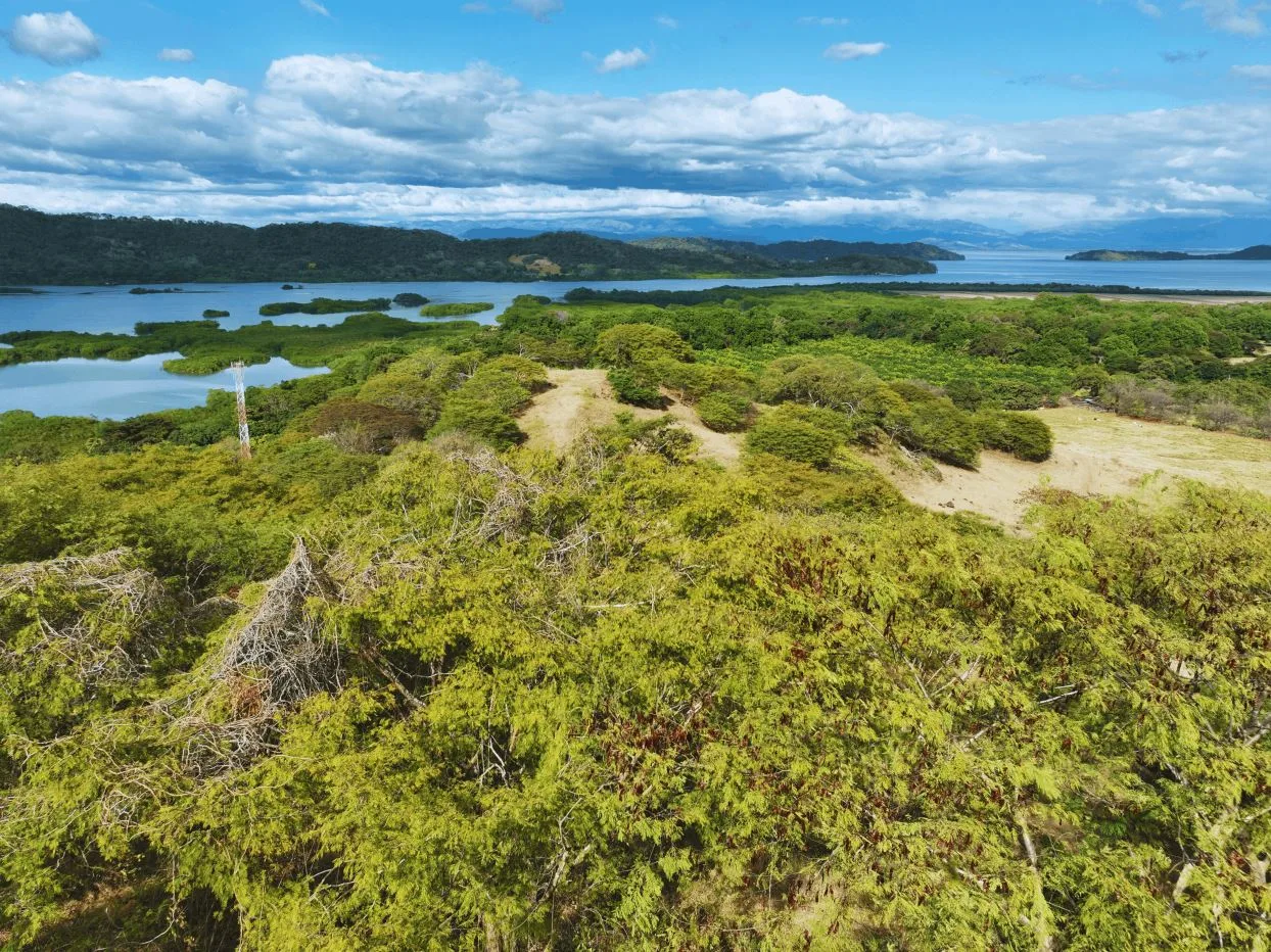 163.59 Hectare Agricultural Farm with Well, Ocean Views &amp; Protected Forest, photo 7