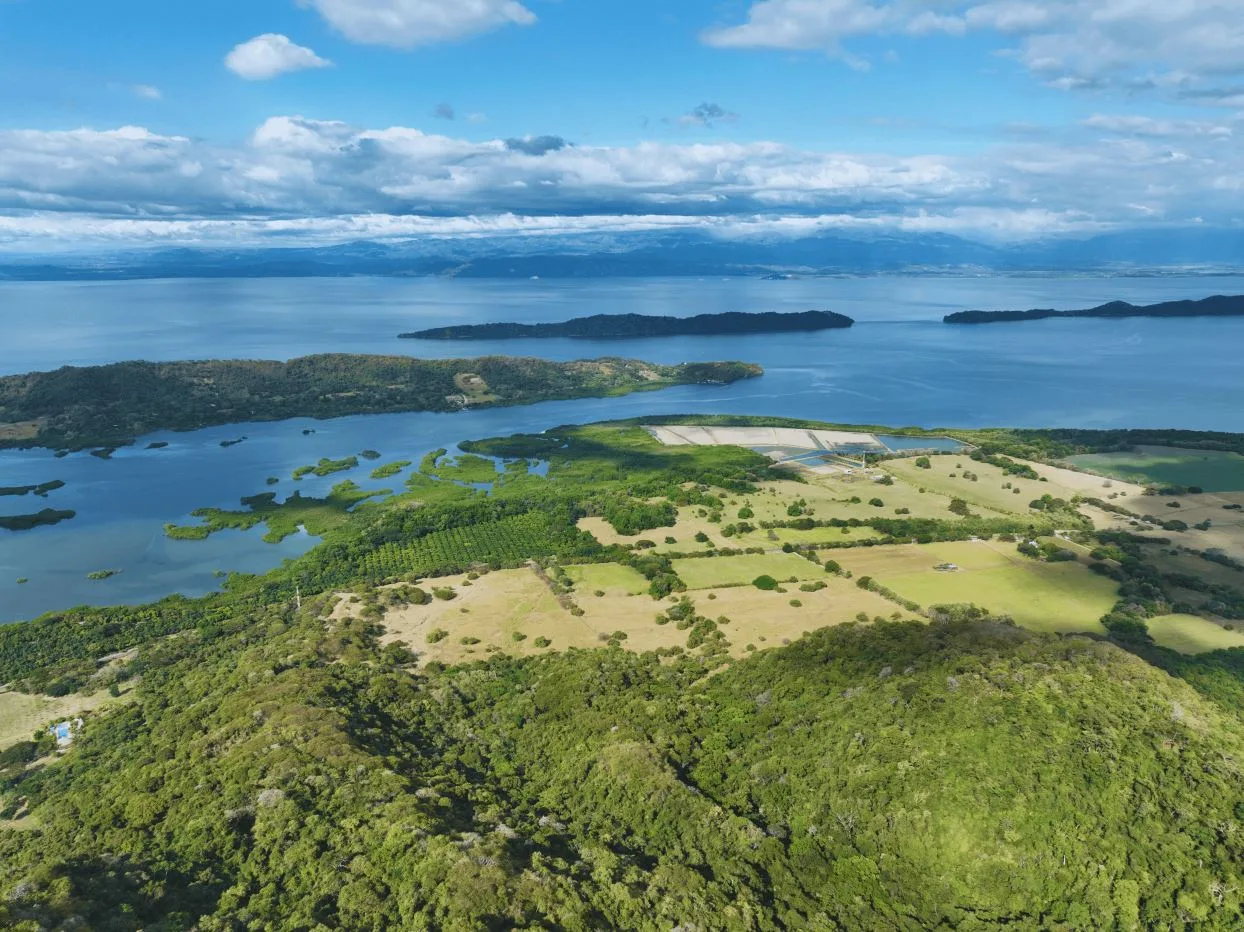 163.59 Hectare Agricultural Farm with Well, Ocean Views &amp; Protected Forest, photo 8