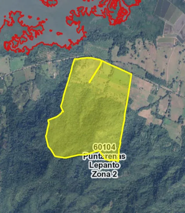 163.59 Hectare Agricultural Farm with Well, Ocean Views &amp; Protected Forest, photo 9