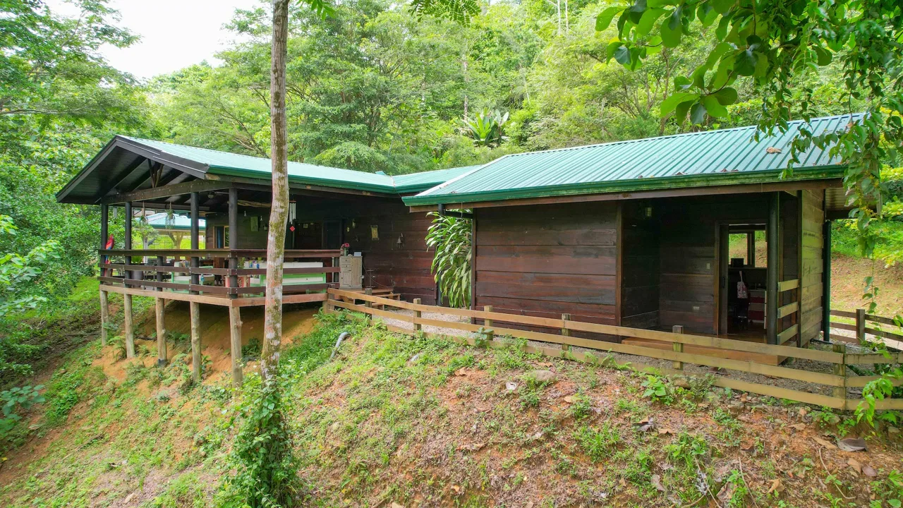 EXCLUSIVE MOUNTAIN RETREAT IN TRES RÍOS WITH OVER 6 ACRES OF NATURE – 6.29 ACRES, photo 4