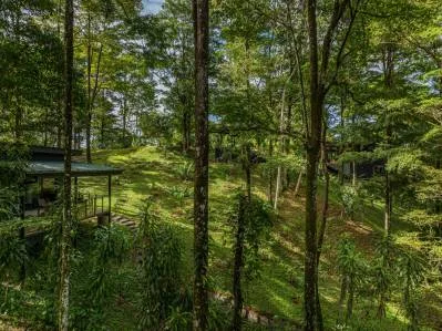 La Sombra Villas, Where Nature Meets Comfort in Tinamates!, photo 10