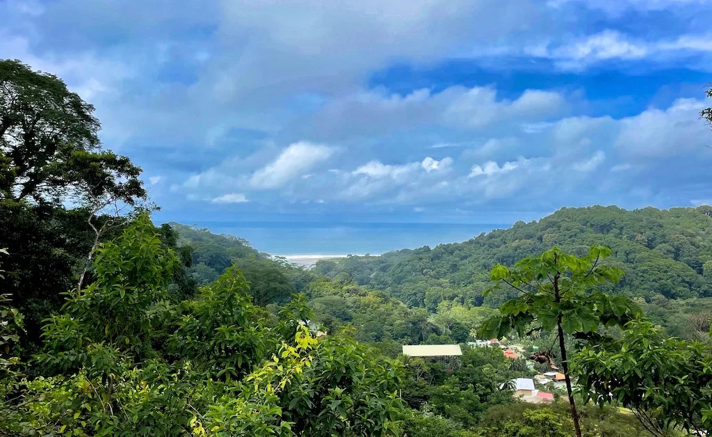 OCEAN VIEW LOT MINUTES TO DOMINICAL BEACH – 1.75 ACRES, photo 12