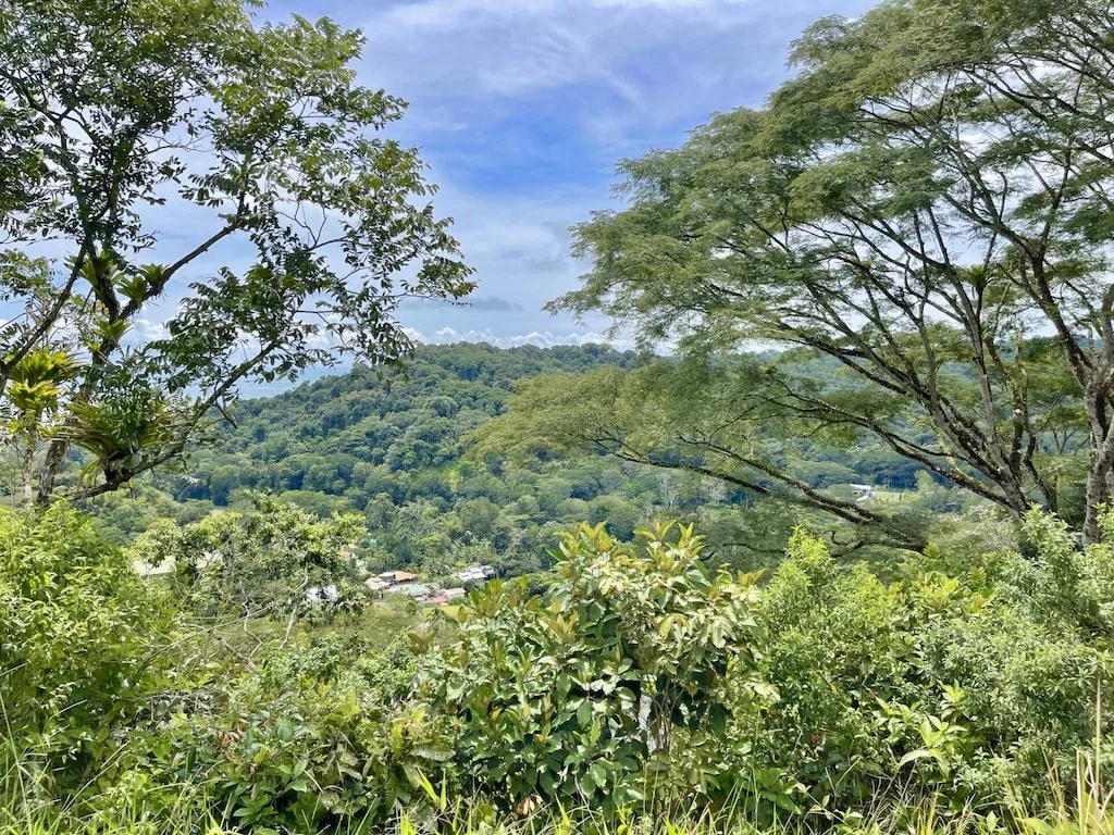OCEAN VIEW LOT MINUTES TO DOMINICAL BEACH – 1.75 ACRES, photo 13