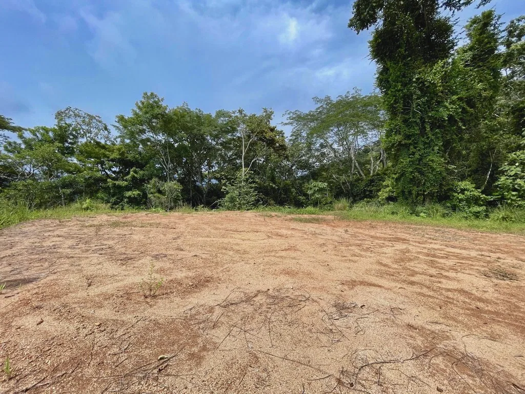 OCEAN VIEW LOT MINUTES TO DOMINICAL BEACH – 1.75 ACRES, photo 7