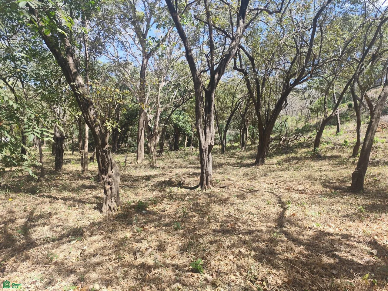 Amplio Terreno Comercial/Residencial a Minutos de Avellanas
