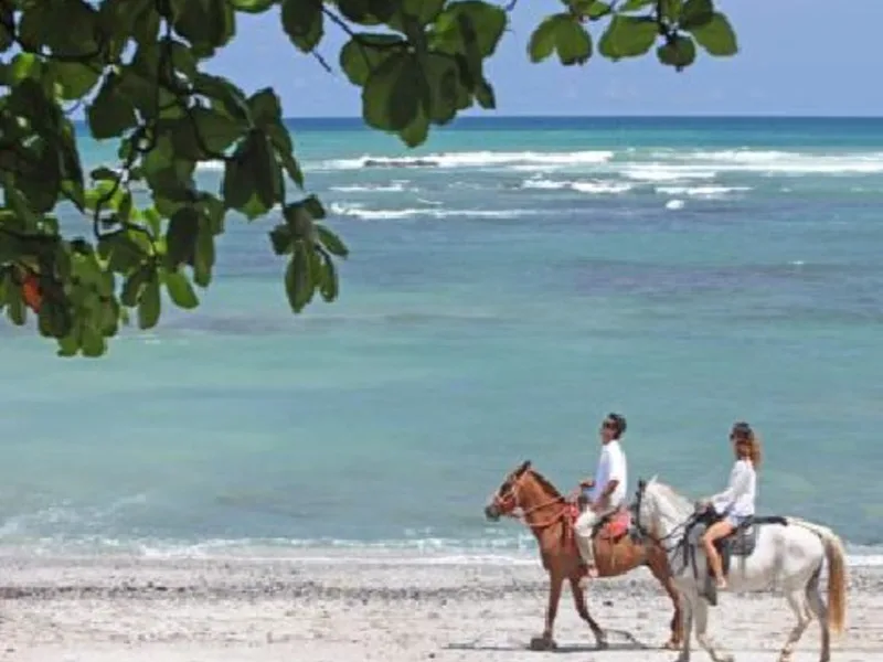 5 Bed Condo For Sale in Tamarindo, photo 13