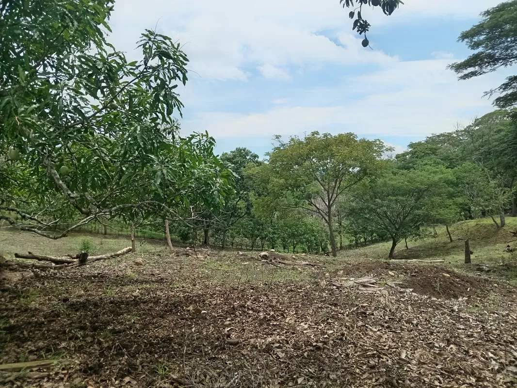 FARM FOR SALE IN CHOMES, PUNTARENAS