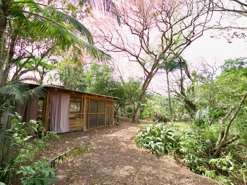 Land For Sale in Nosara