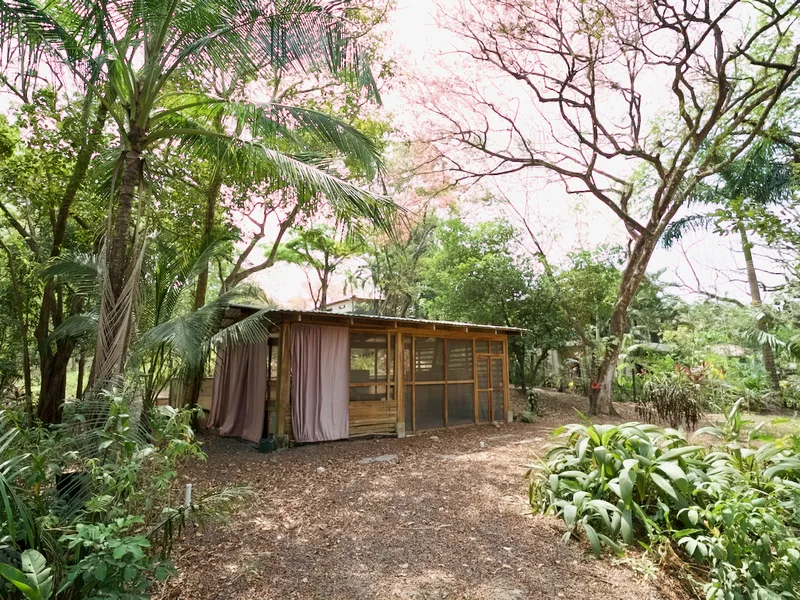 Land For Sale in Nosara, photo 2