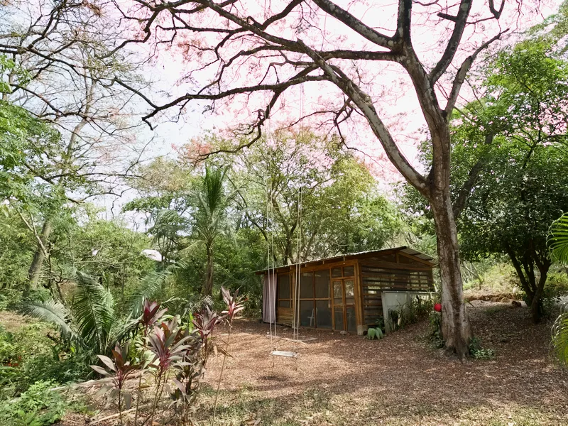 Land For Sale in Nosara, photo 3