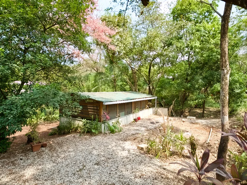 Land For Sale in Nosara, photo 5
