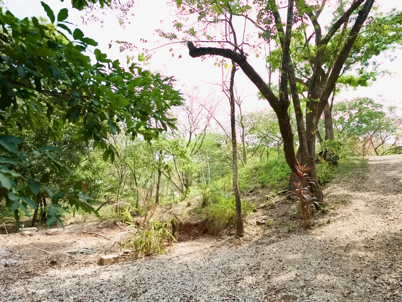 Land For Sale in Nosara, photo 6