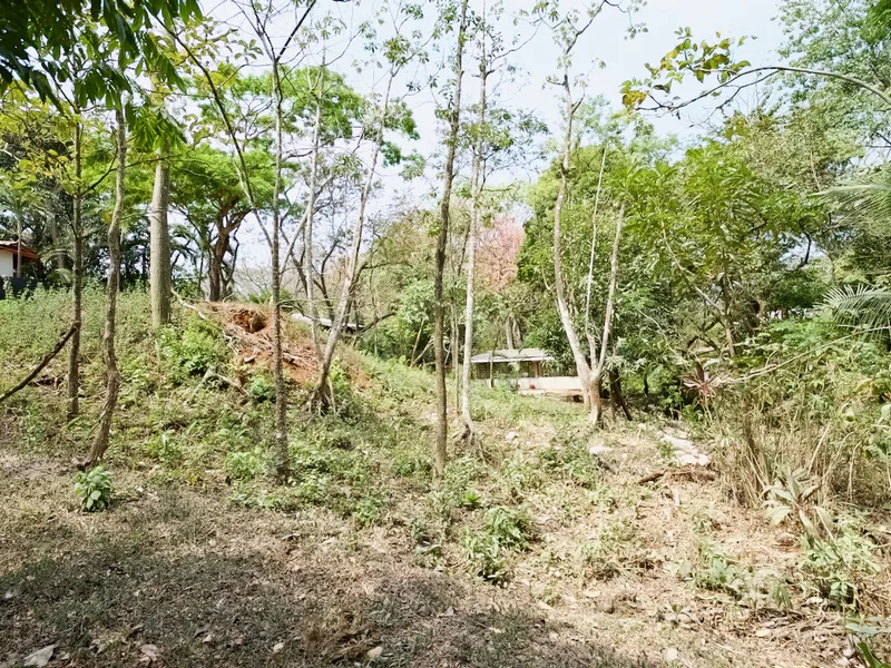 Land For Sale in Nosara, photo 7