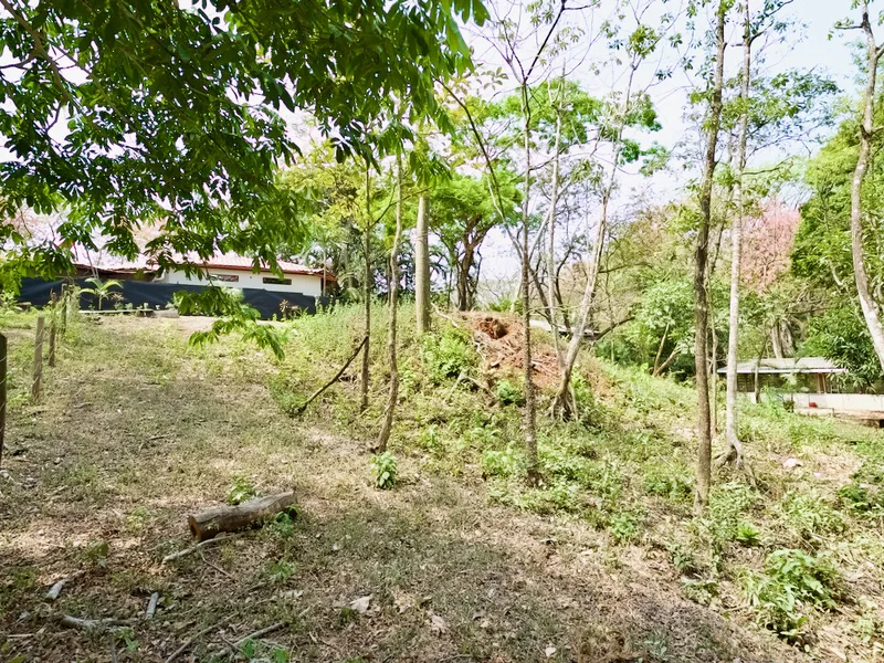 Land For Sale in Nosara, photo 8