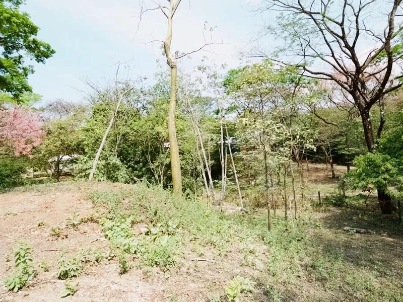 Land For Sale in Nosara, photo 9