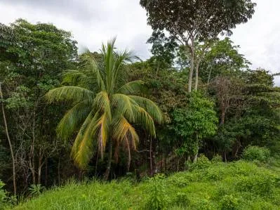 Coronado Estates Lot 3, photo 5