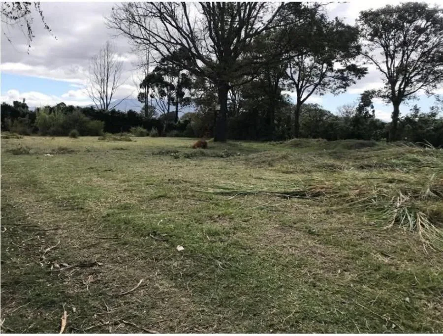 Terreno a la venta en San Pablo de Heredia, Costa Rica - Venta en San Pablo, photo 5