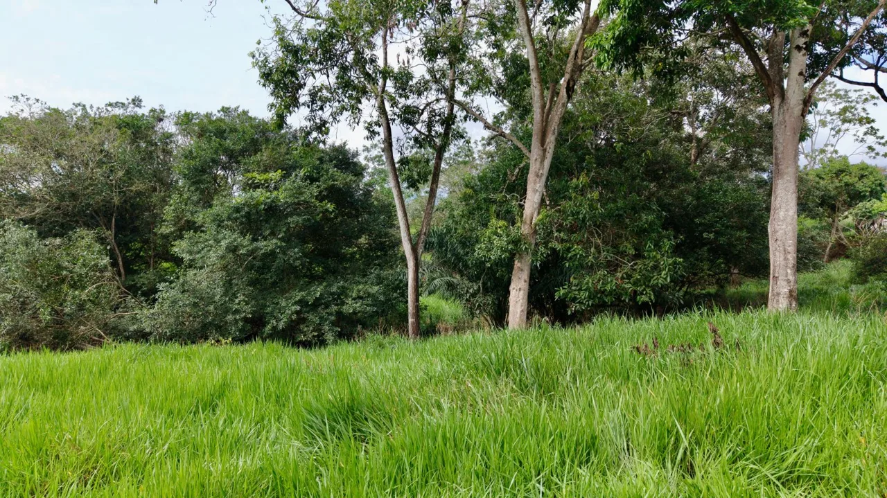 Unique Opportunity! Prime Commercial Lot for Sale in Perez Zeledon, photo 6