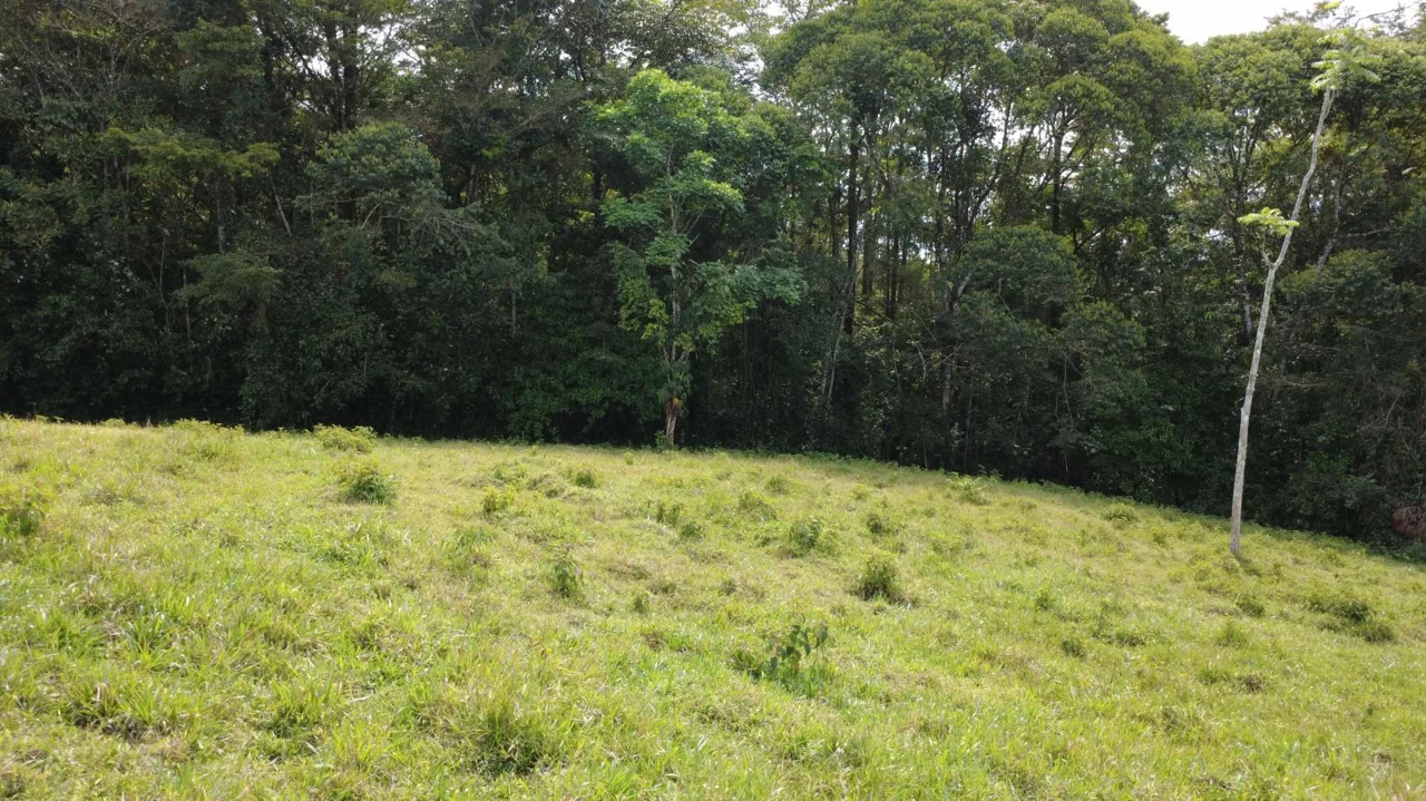 Awesome Farm for Sale in Quizarra with beautiful year round creek on the border, photo 11