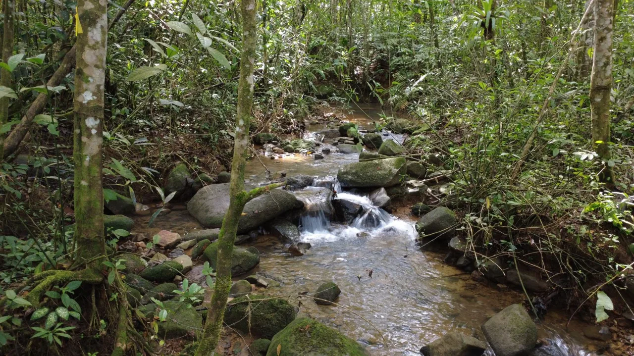 Awesome Farm for Sale in Quizarra with beautiful year round creek on the border, photo 6