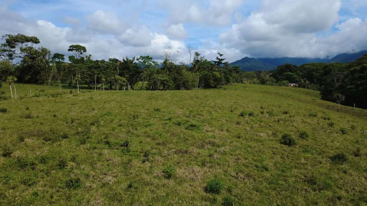 Awesome Farm for Sale in Quizarra with beautiful year round creek on the border, photo 7