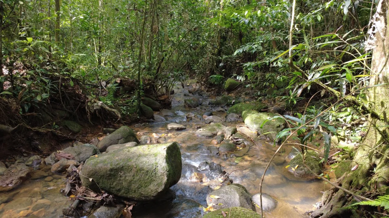 Awesome Farm for Sale in Quizarra with beautiful year round creek on the border, photo 8