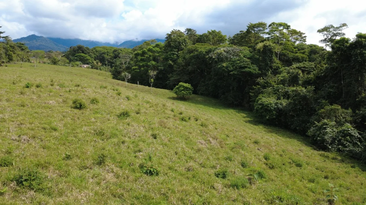 Awesome Farm for Sale in Quizarra with beautiful year round creek on the border, photo 9
