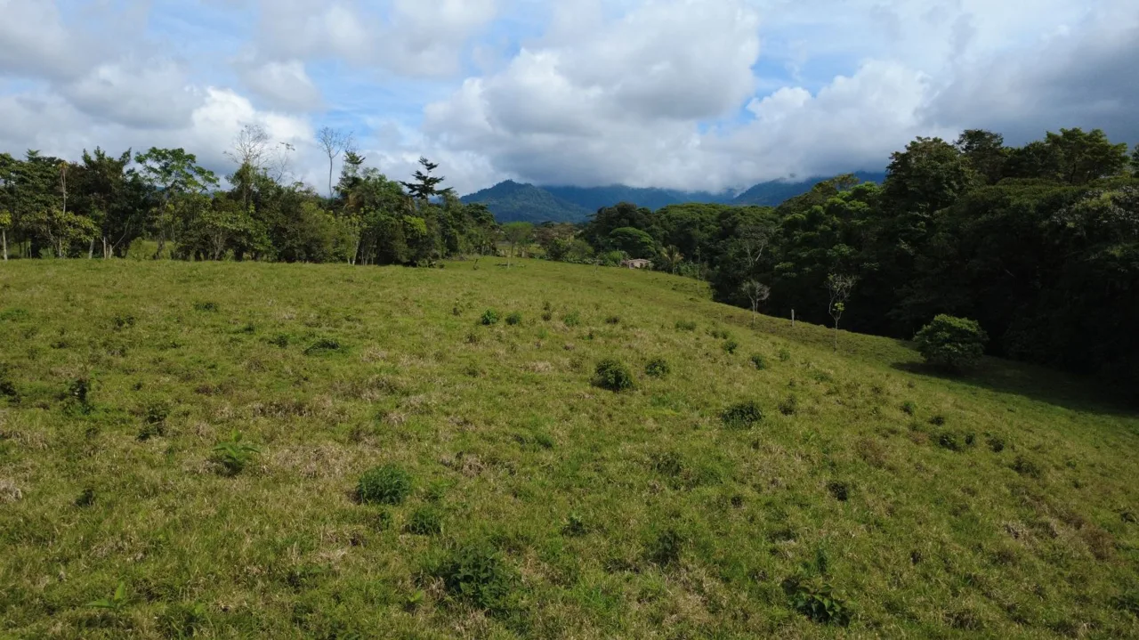 Awesome Farm for Sale in Quizarra with beautiful year round creek on the border, photo 10