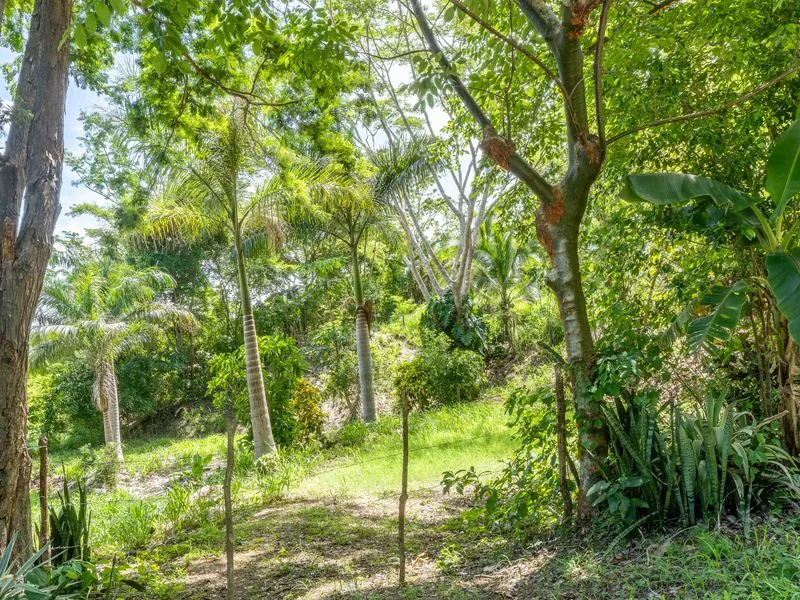 Land For Sale in Playa Camaronal, photo 11