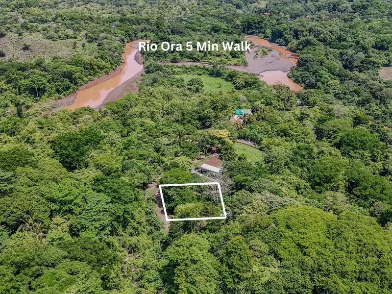 Land For Sale in Playa Camaronal, photo 3
