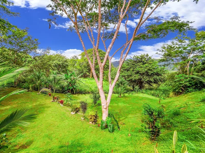 Land For Sale in Playa Camaronal, photo 8