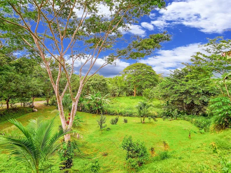 Land For Sale in Playa Camaronal, photo 9